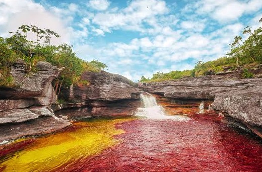 Caño Cristales